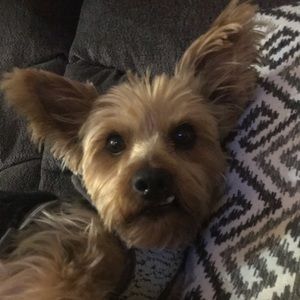 Meet your Posher, Katie